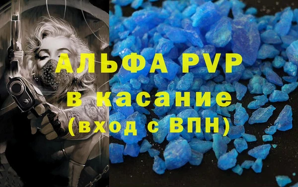 ГАЛЛЮЦИНОГЕННЫЕ ГРИБЫ Баксан