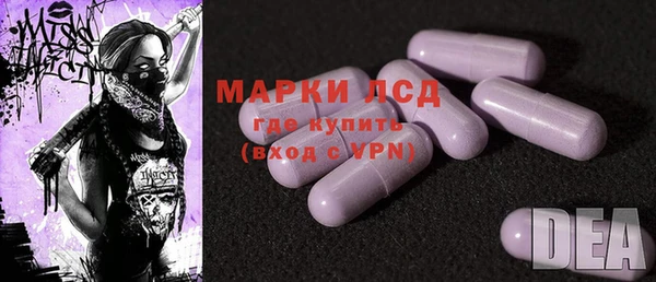 ГАЛЛЮЦИНОГЕННЫЕ ГРИБЫ Баксан