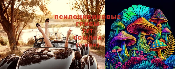 СК Балахна