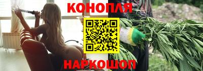 гидропоника Камышлов