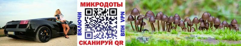 Псилоцибиновые грибы Psilocybe  Кунгур 
