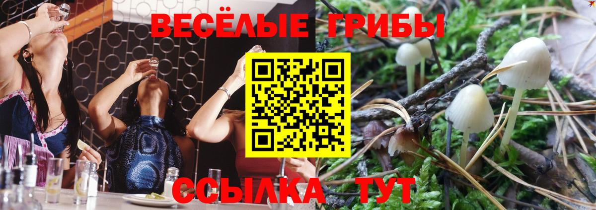 Кунгур  Псилоцибиновые грибы мицелий  закладка  Вход с VPN 