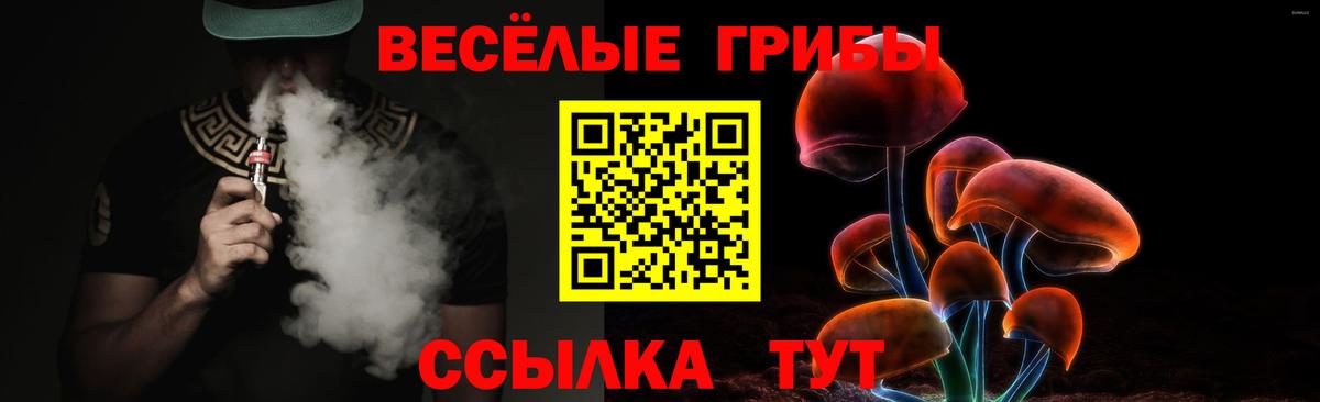 Галлюциногенные грибы MAGIC MUSHROOMS Кунгур